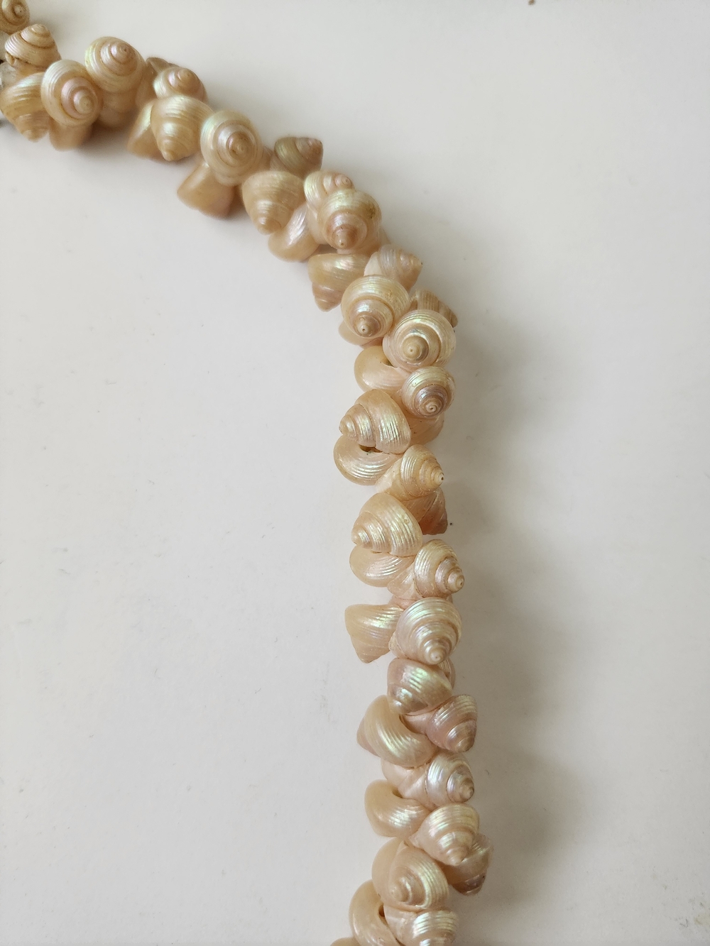 Vintage Shell Necklace - Picture 3 of 3